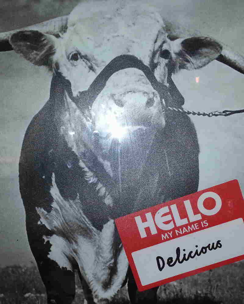 picture of a bovine named Delicious